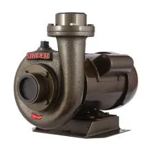 Singer Water Pump - 65Ft, 2" X 2", 1.5HP