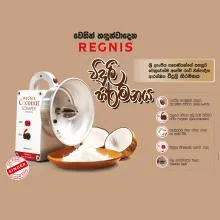 Regnis Electric Coconut Scraper